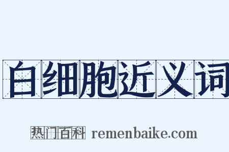 白细胞近义词是什么意思的图片